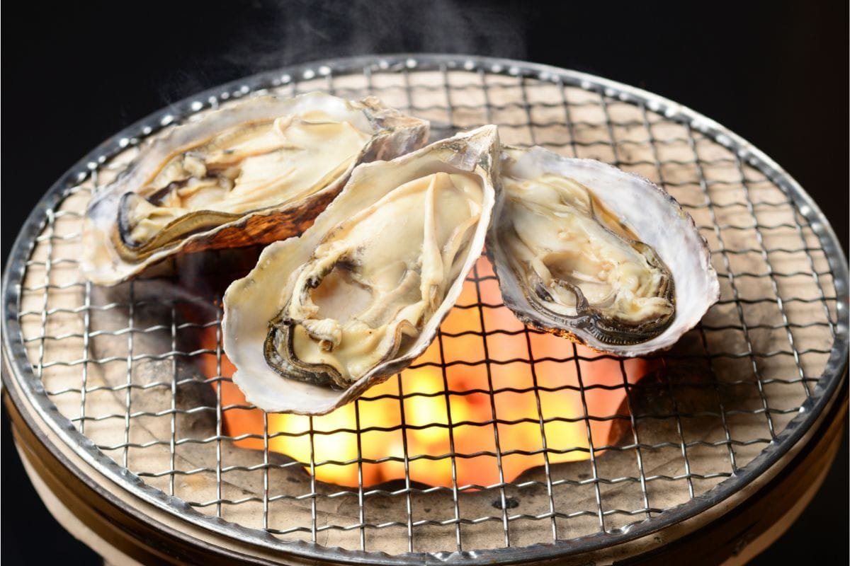 15 Delicious Grilled Oyster Recipes To Spice Up Your BBQ